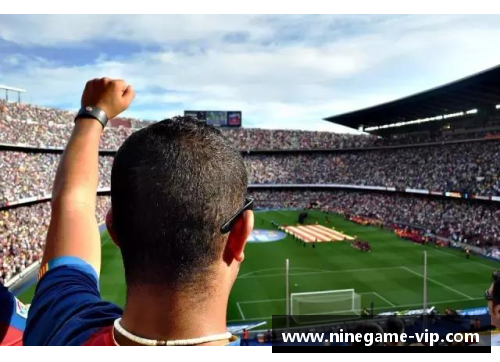 爱尔兰足球传奇：历史、荣耀与永恒的遗产