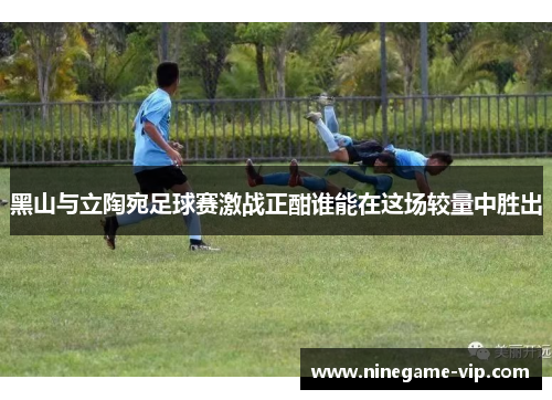 黑山与立陶宛足球赛激战正酣谁能在这场较量中胜出